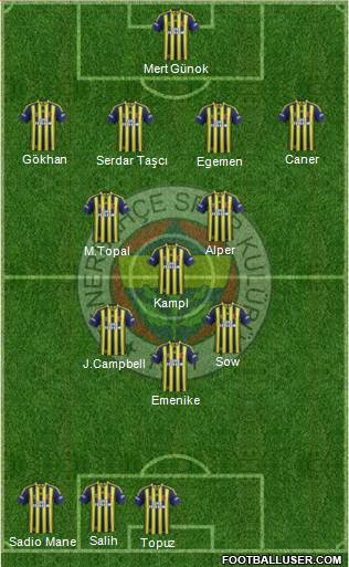 Fenerbahçe SK Formation 2014