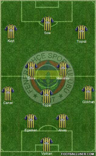 Fenerbahçe SK Formation 2014