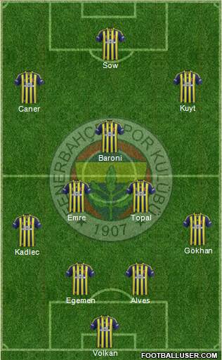 Fenerbahçe SK Formation 2014