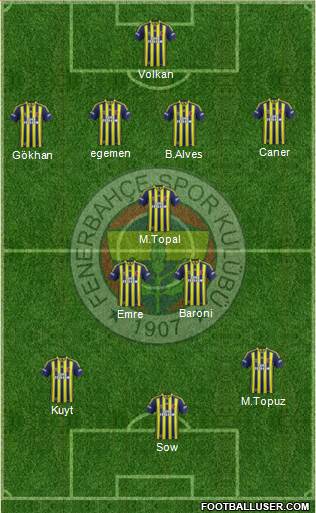 Fenerbahçe SK Formation 2014