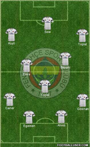 Fenerbahçe SK Formation 2014