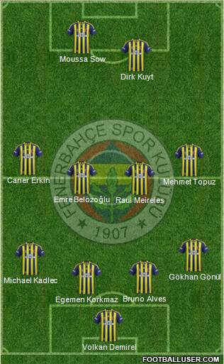 Fenerbahçe SK Formation 2014