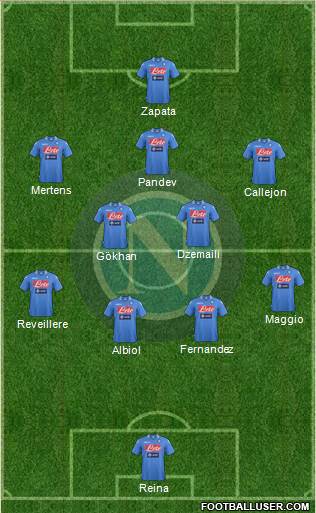 Napoli Formation 2014