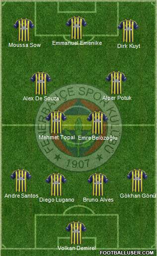 Fenerbahçe SK Formation 2014