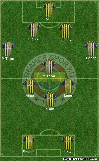 Fenerbahçe SK Formation 2014