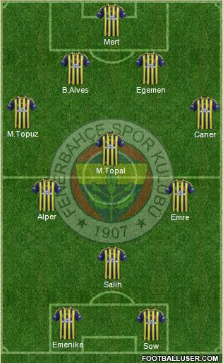 Fenerbahçe SK Formation 2014