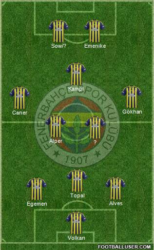 Fenerbahçe SK Formation 2014