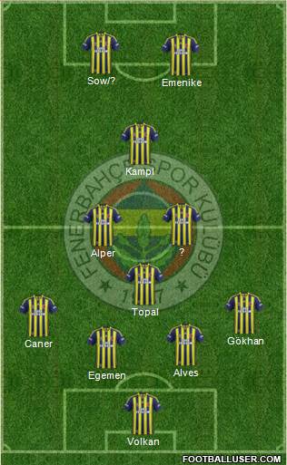 Fenerbahçe SK Formation 2014