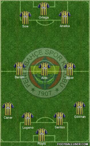 Fenerbahçe SK Formation 2014