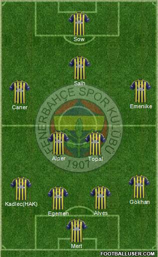 Fenerbahçe SK Formation 2014