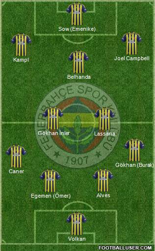 Fenerbahçe SK Formation 2014