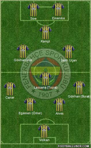 Fenerbahçe SK Formation 2014
