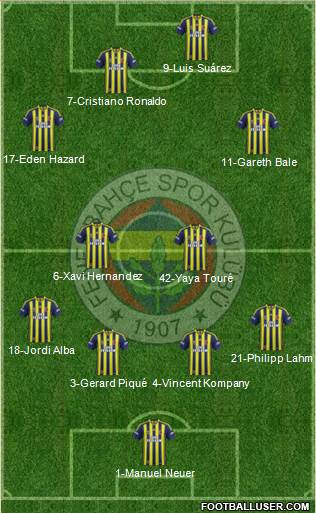 Fenerbahçe SK Formation 2014