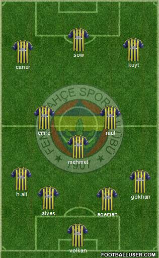Fenerbahçe SK Formation 2014