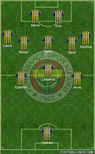 Fenerbahçe SK Formation 2014