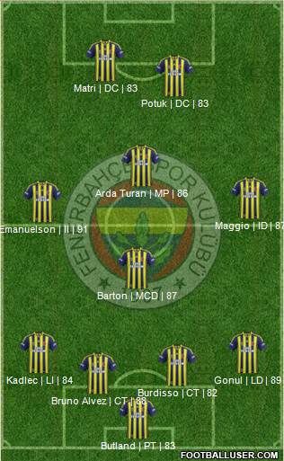 Fenerbahçe SK Formation 2014