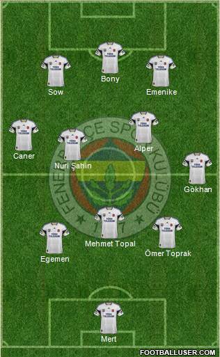 Fenerbahçe SK Formation 2014