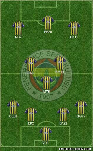 Fenerbahçe SK Formation 2014