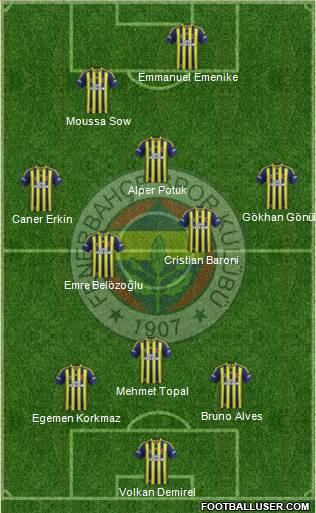 Fenerbahçe SK Formation 2014