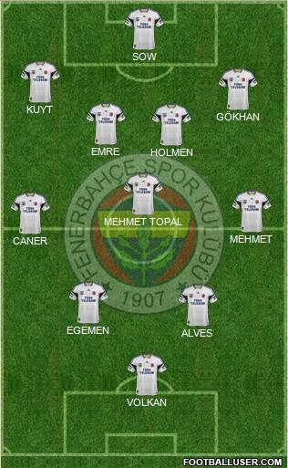Fenerbahçe SK Formation 2014