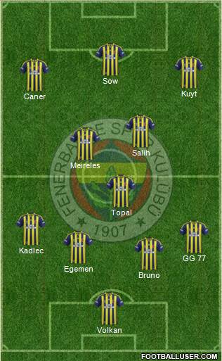 Fenerbahçe SK Formation 2014