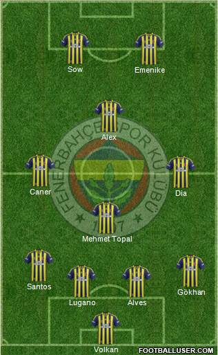 Fenerbahçe SK Formation 2014