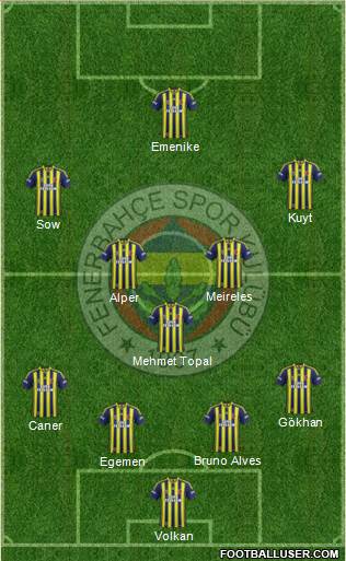 Fenerbahçe SK Formation 2014