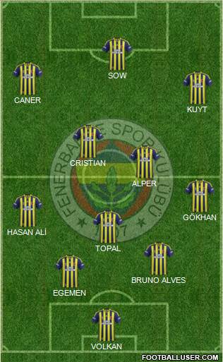 Fenerbahçe SK Formation 2014