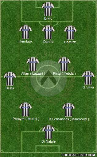 Udinese Formation 2014