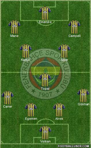 Fenerbahçe SK Formation 2014