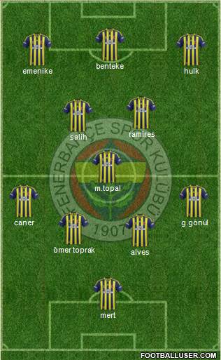 Fenerbahçe SK Formation 2014
