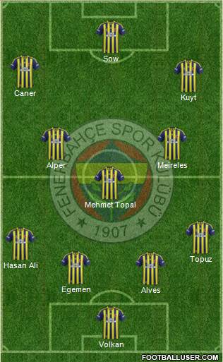 Fenerbahçe SK Formation 2014