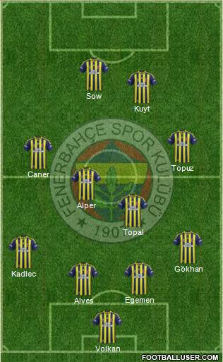 Fenerbahçe SK Formation 2014