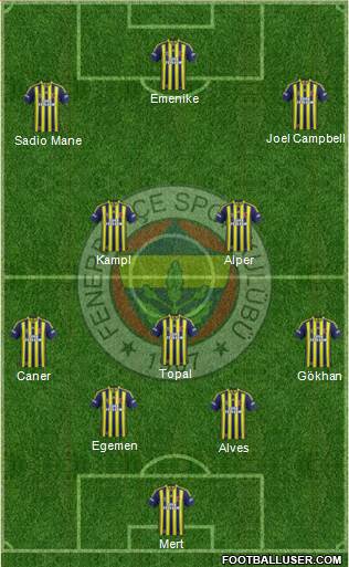 Fenerbahçe SK Formation 2014