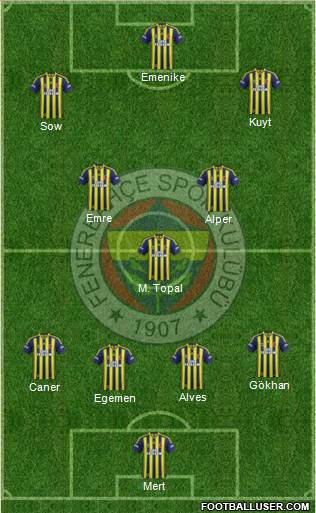 Fenerbahçe SK Formation 2014
