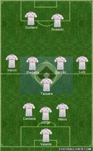 Hamburger SV Formation 2014