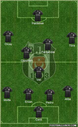 Besiktas JK Formation 2014