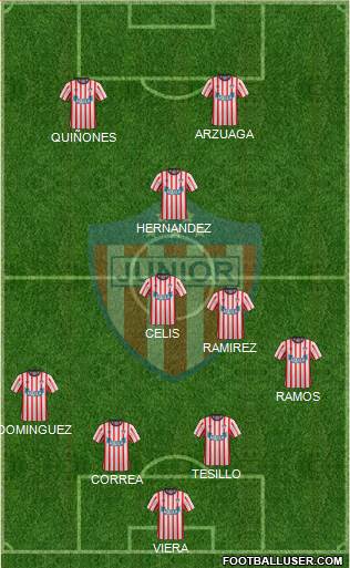 CPD Junior Formation 2014