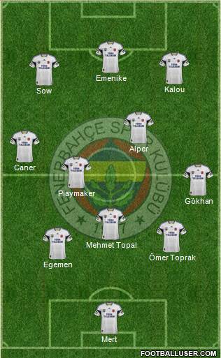 Fenerbahçe SK Formation 2014