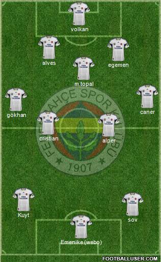 Fenerbahçe SK Formation 2014