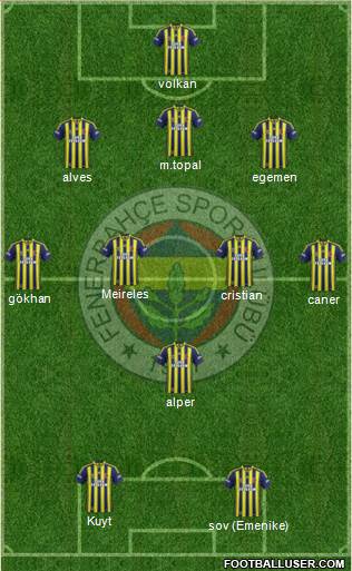 Fenerbahçe SK Formation 2014