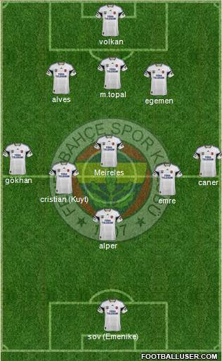 Fenerbahçe SK Formation 2014