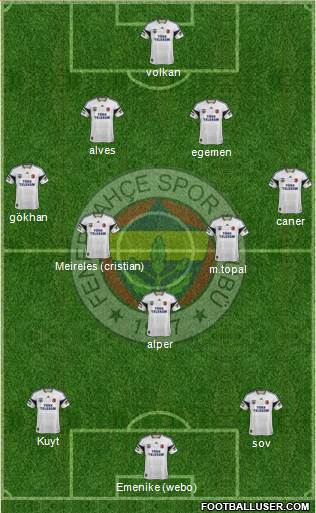 Fenerbahçe SK Formation 2014