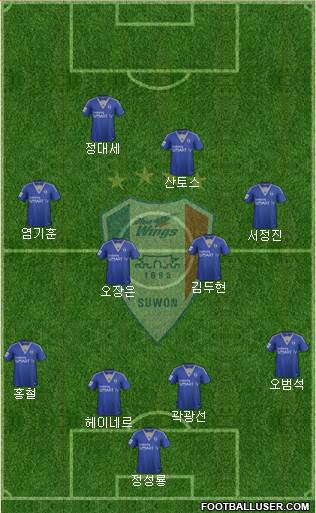 Suwon Samsung Blue Wings Formation 2014