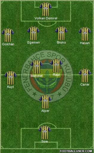 Fenerbahçe SK Formation 2014