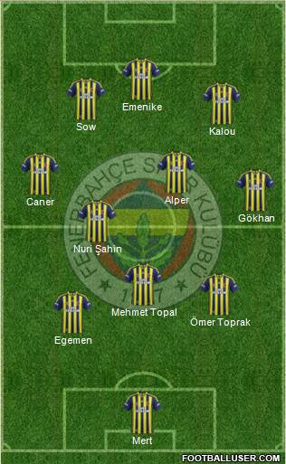 Fenerbahçe SK Formation 2014