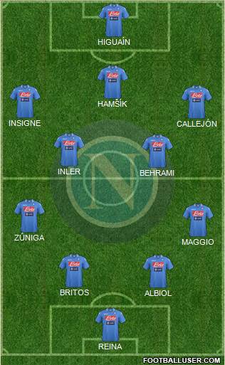 Napoli Formation 2014
