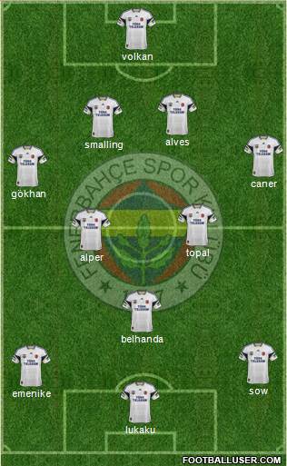 Fenerbahçe SK Formation 2014