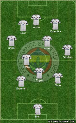 Fenerbahçe SK Formation 2014