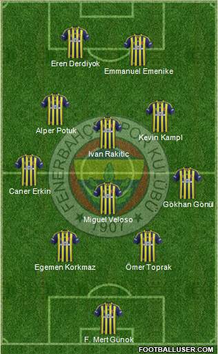 Fenerbahçe SK Formation 2014
